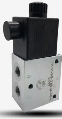 FP-22-CP 10/2 Popet Valf